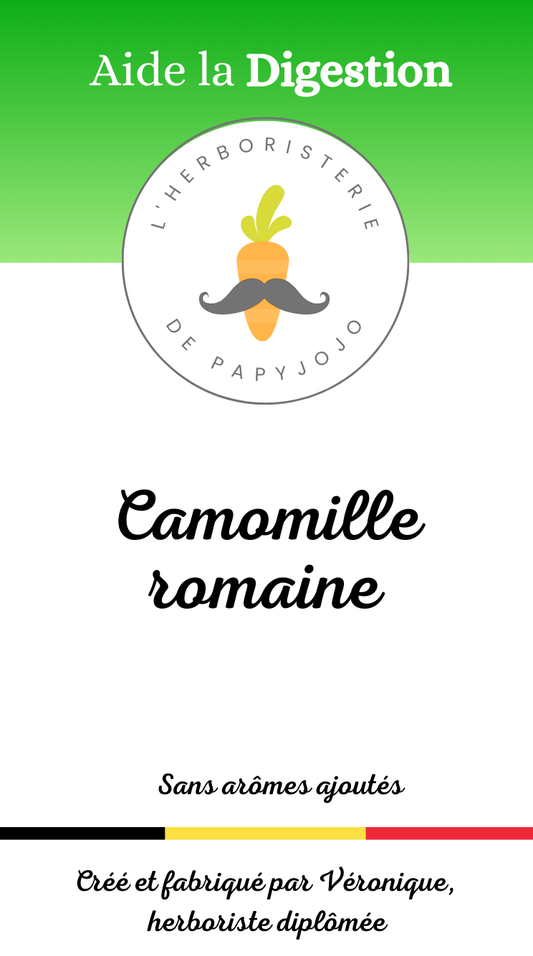 Fleurs de camomille romaine