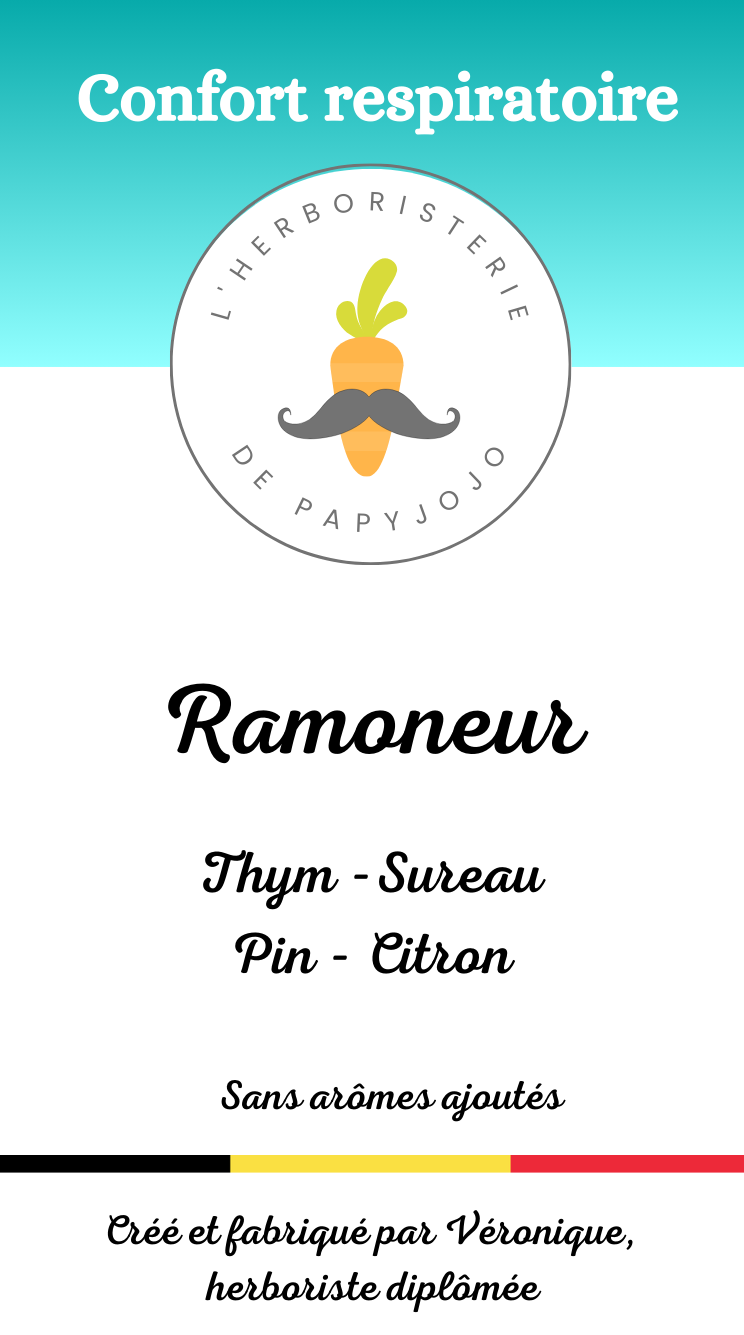 Ramoneur